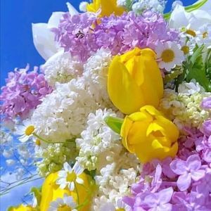 Meet your Posher, Ruth